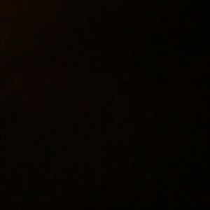 Meet your Posher, Ariel